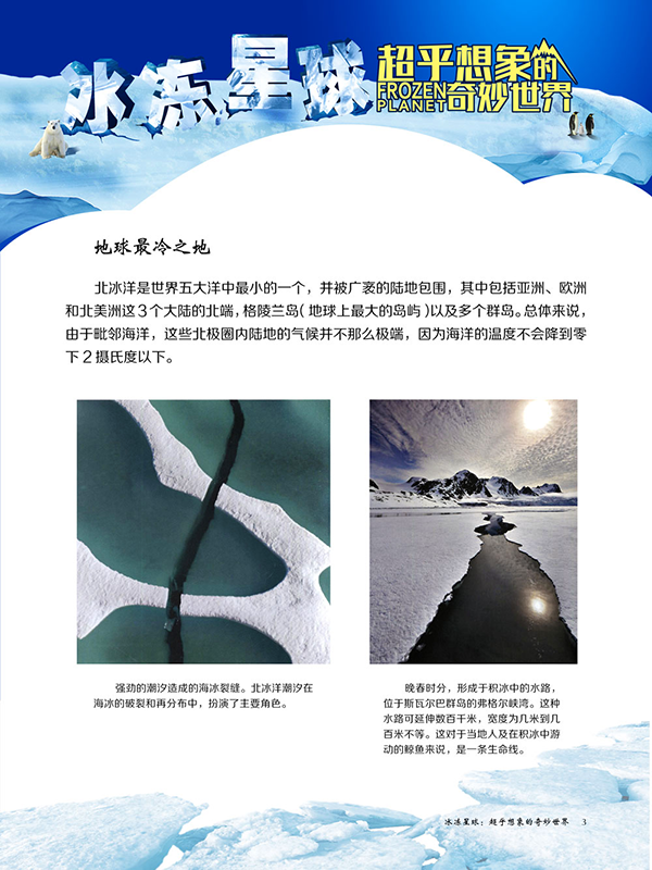 图片254.png