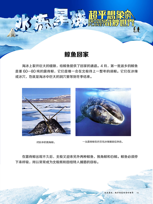 图片267.png