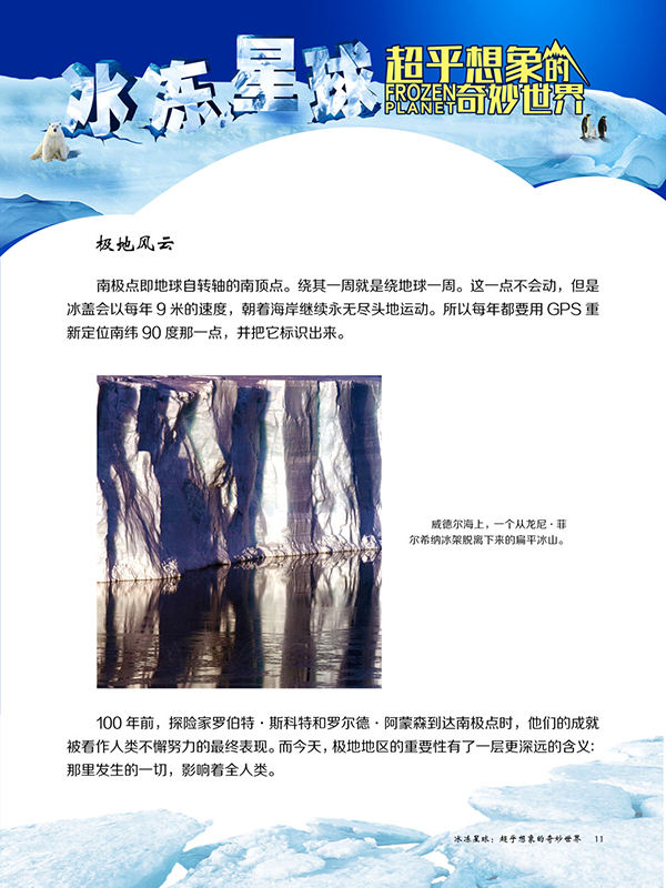 图片262.png